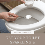 cleaning the toilet naturally pinterest pin