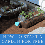 gardening for free pinterest pin