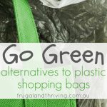 plastic shopping bag alternatives