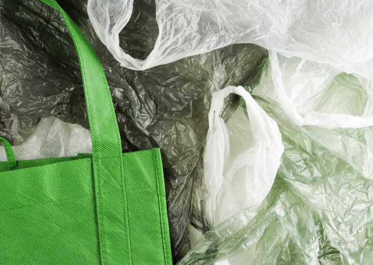 plastic shopping bag alternatives