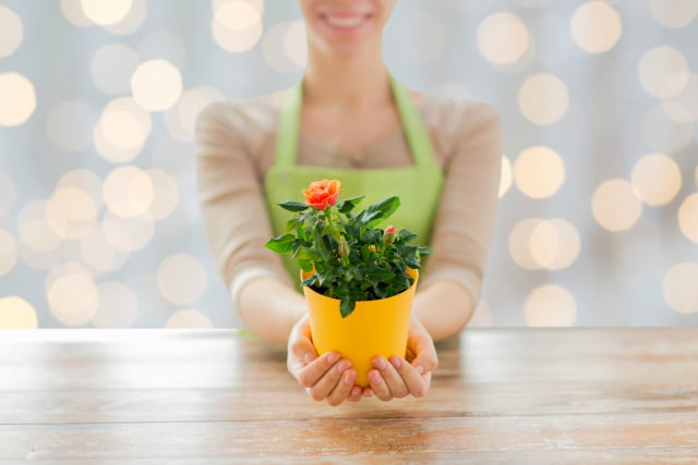 Frugal Valentine’s Day Gift Ideas That Show You Care