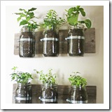 jar planter