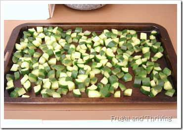 freezing zucchini