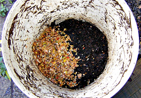 Fast Compost