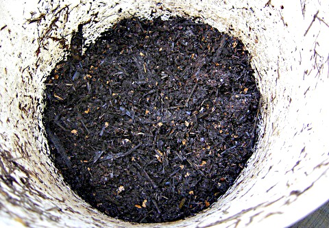fast compost