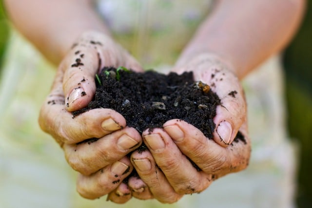 How to Make Super Fast Compost For Your Garden