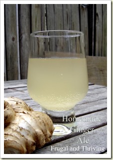 Homemade Ginger Ale Wild Fermented