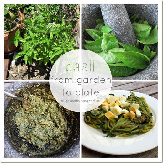 Basil from garden to plate | Homemade Pesto Recipe | Frugal and Thriving