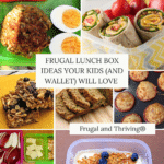 frugal lunchbox ideas pinterest pin