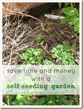 Save time and money with a self-seeding garden