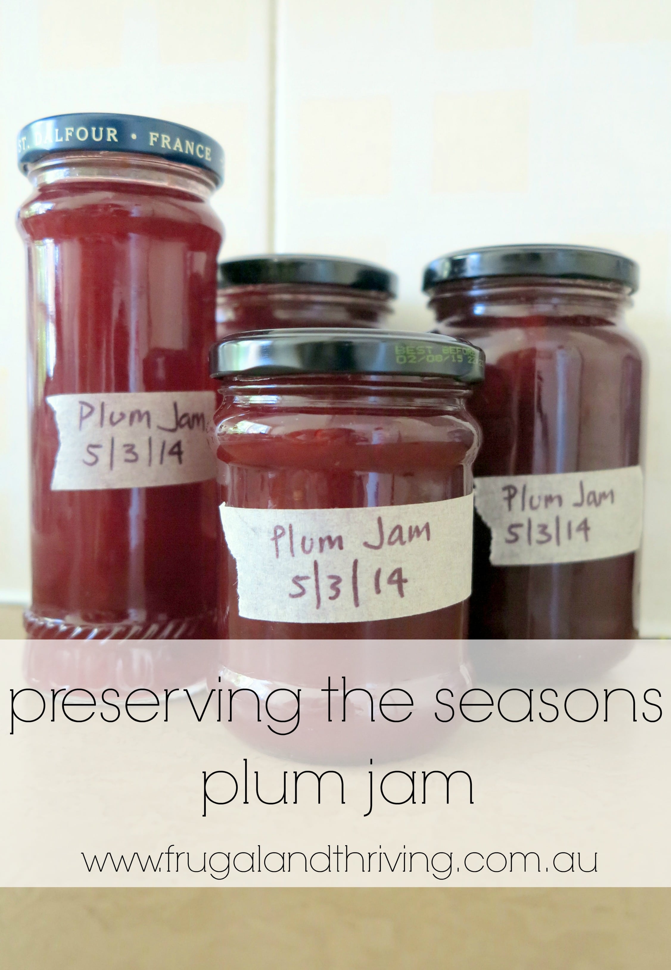 Basic Plum Jam Recipe