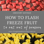 how to flash freeze fruit pin