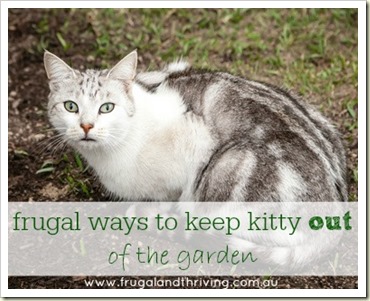 Frugal Ways to Keep Kitty Out of the Garden