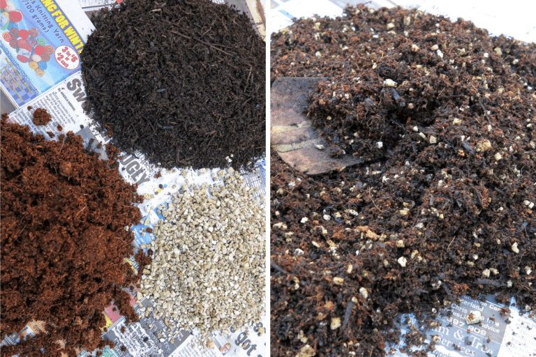 diy seed raising mix feature