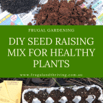 diy seed raising mix