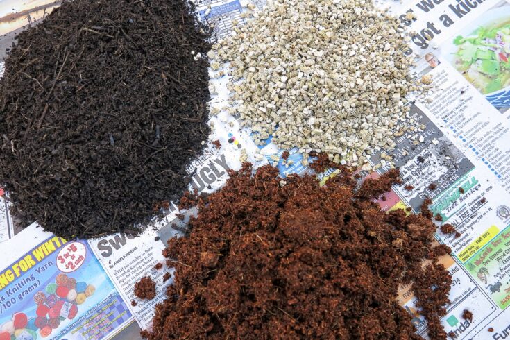 seed raising mix ingredients