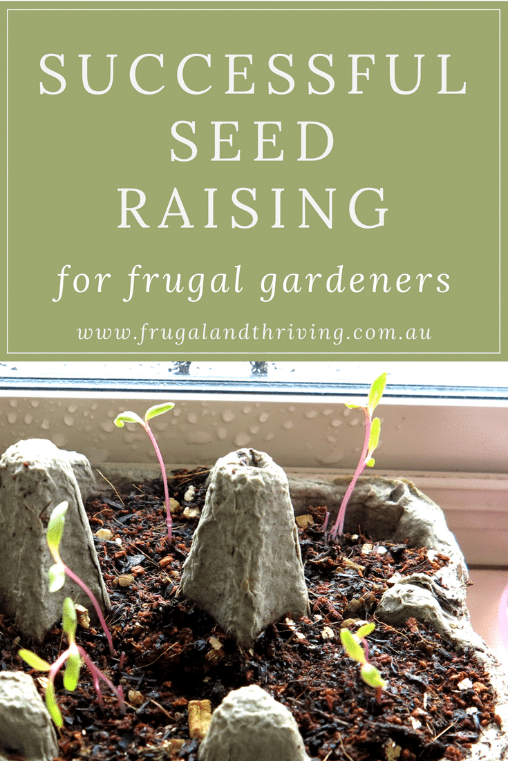 frugal seed raising