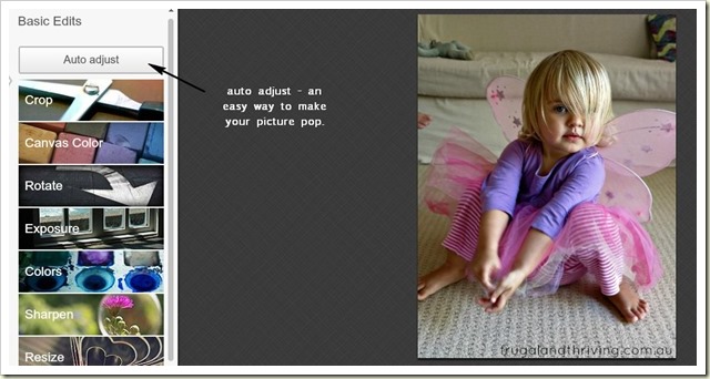 Using the auto adjust in PickMonkey Using the auto adjust in PickMonkey