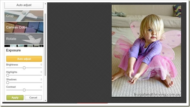 Ajusting the exposure in PickMonkey Ajusting the exposure in PickMonkey