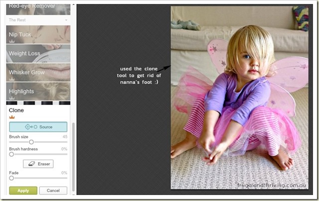 Using the clone tool in PicMonkey Using the clone tool in PicMonkey