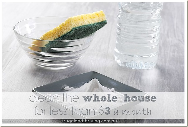 clean the whole house for less than $3 a month