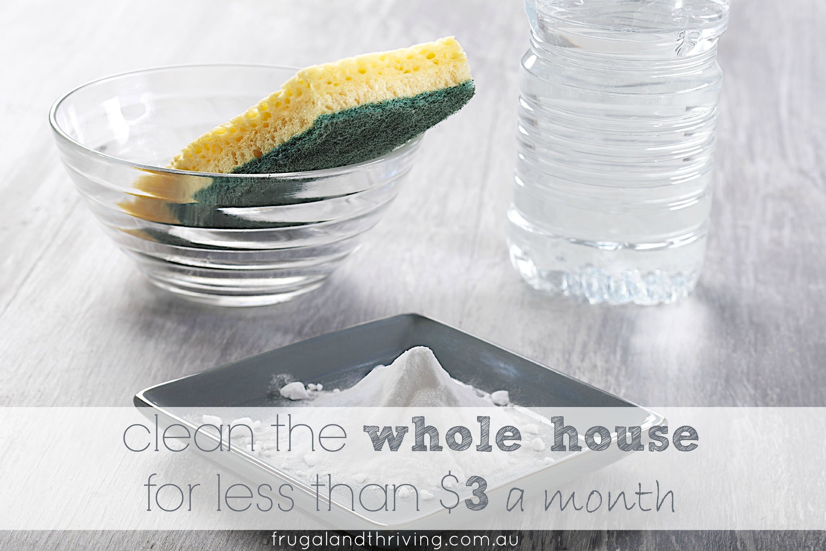 clean the whole house for less than $3 a month