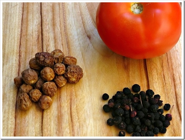 bush tomatos and pepperberries