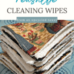 Cleaning wipe pinteret pin