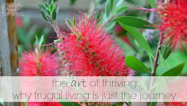 the art of thriving: why frugal living is just the journey