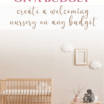 budget baby nursery pin
