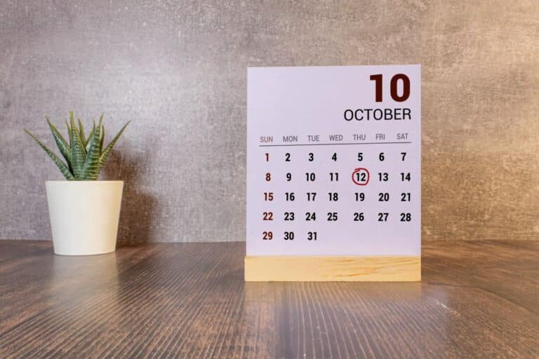 calendar page against a neutral background next to aloe plant