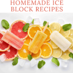 homemade ice block recipes pinterest pin