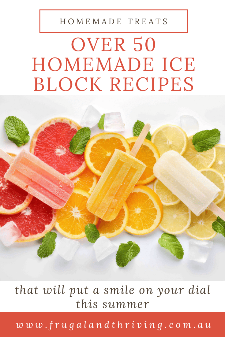 50 + Homemade Ice Block Recipes Perfect for Summer