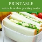 lunchbox planner pinterest pin