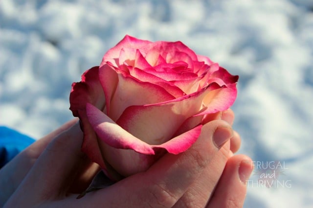 6 Fundamental Truths to Filling Your Cup and Becoming a Better You