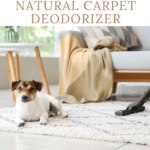 natural carpet deodoriser powder pinterest pin