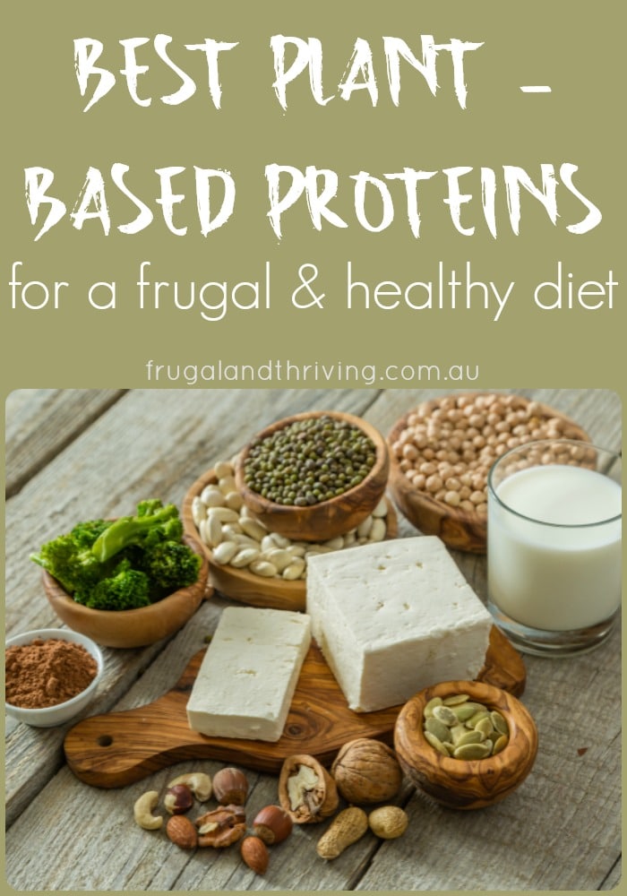 The Best Frugal Plant-Based Protein for a Healthy Diet