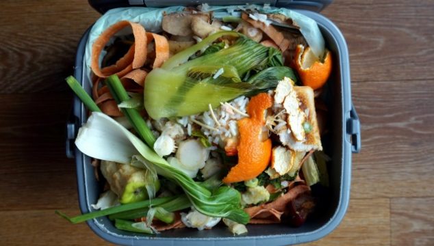 Bokashi Bin: What You Need To Know To Make Amazing Compost
