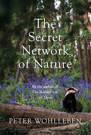 The Secret Network Of Life