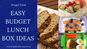 Budget Lunch Box Ideas That are Healthy and Easy