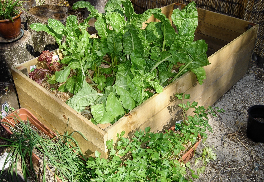 diy garden box