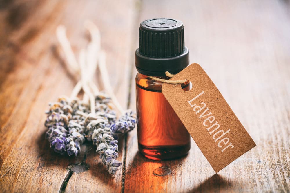 uses for lavender oil