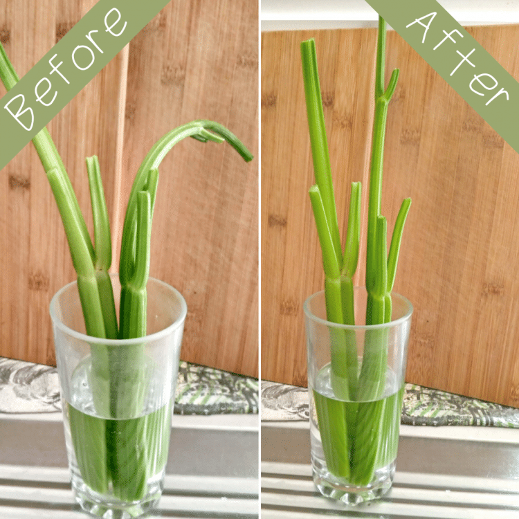 How to Revive Limp Vegetables and Avoid Food Waste