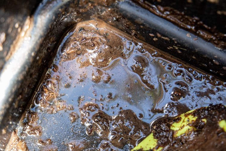 Stinky Compost How to Fix Smelly Compost in a Compost Tumbler or Bin