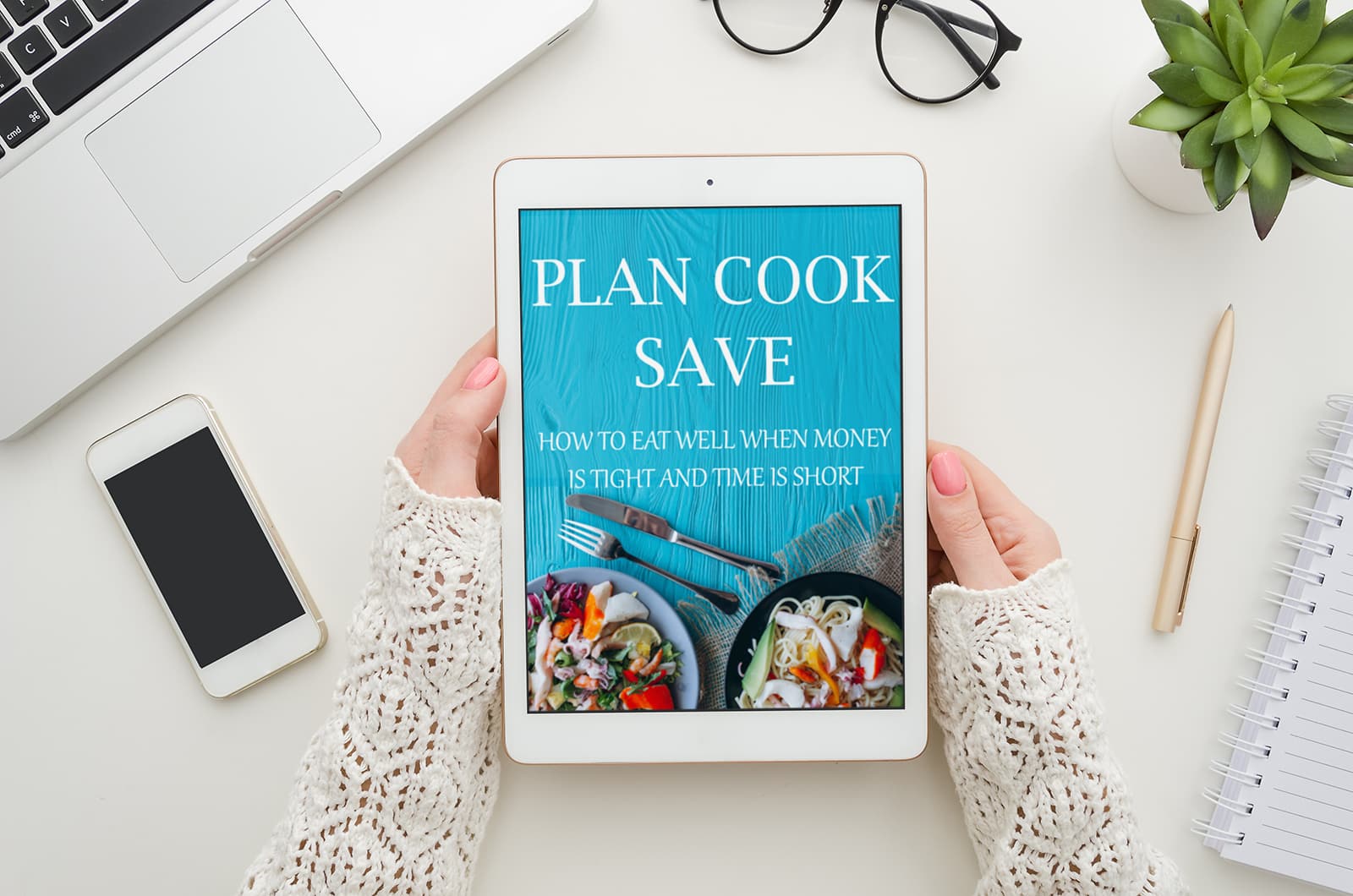 plan cook save ebook on ipad