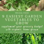 Growing your own vegetables can save you money and be a satisfying hobby. Here are nine of the easiest garden vegetables to grow pinterest pin