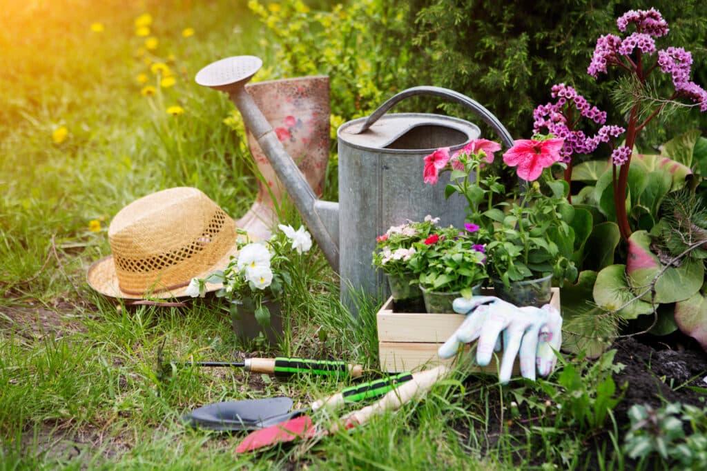 garden tools, hat, gloves, watering can