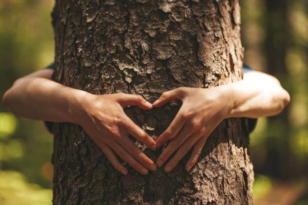 man hugging tree making heart shape with hands