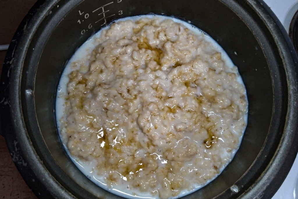 oatmeal cooked in the rice cooker