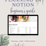 meal plan in notion pin